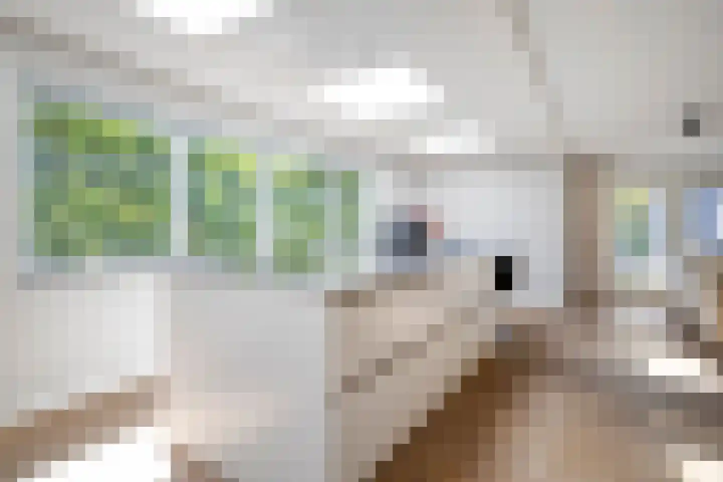 Maasstroom 27 Zoetermeer thumbnail 18