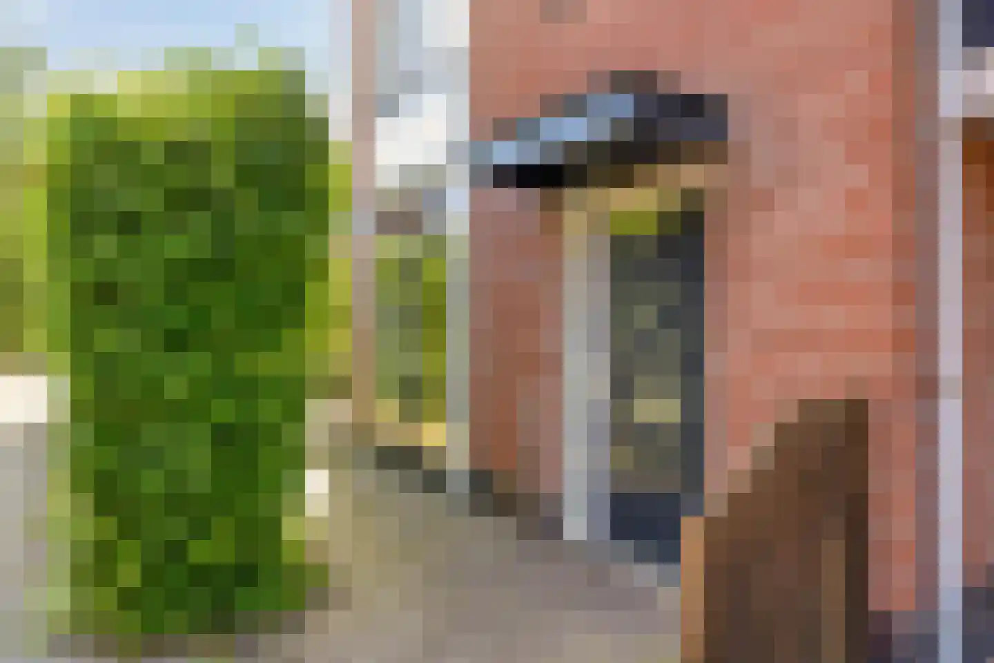 Maasstroom 27 Zoetermeer thumbnail 55