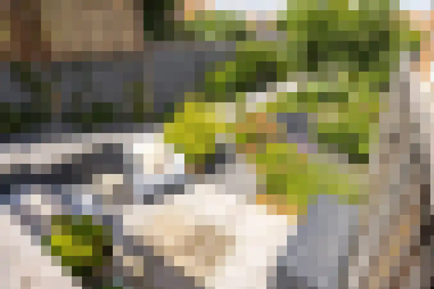 Maastrichterlaan 101 Landgraaf thumbnail 34