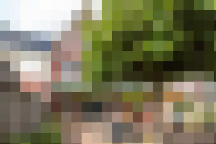 Maastrichterlaan 112 Landgraaf thumbnail 35