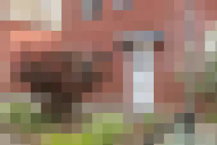 Maastrichterlaan 112 Landgraaf thumbnail 4
