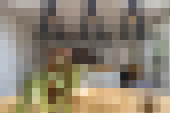 Maastrichterlaan 120 Beek thumbnail 13