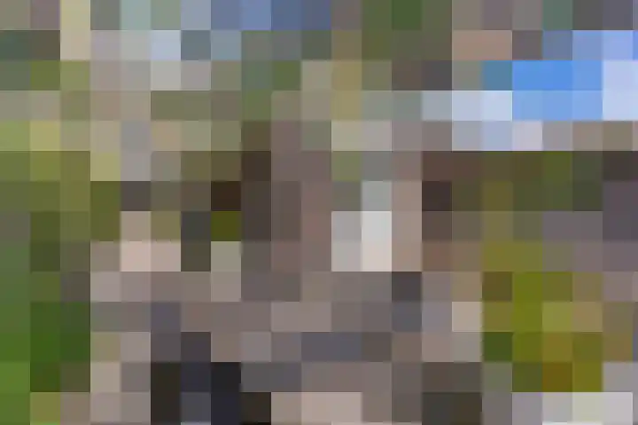 Maastrichterlaan 120 Beek thumbnail 40