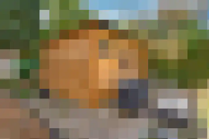 Maastrichterlaan 120 Beek thumbnail 47