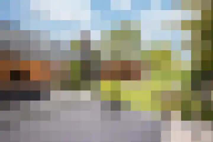 Maastrichterlaan 15 Landgraaf thumbnail 25