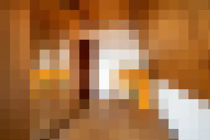 Maastrichterlaan 16 Landgraaf thumbnail 12