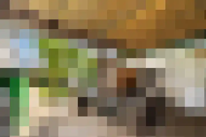 Maastrichterlaan 16 Landgraaf thumbnail 24