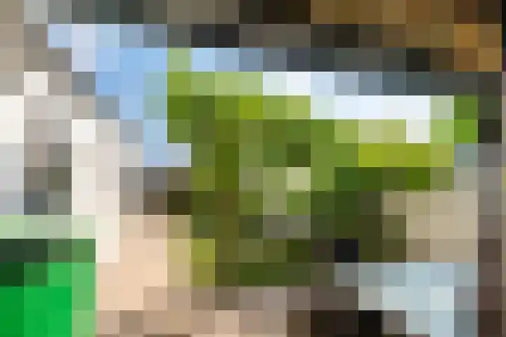 Maastrichterlaan 16 Landgraaf thumbnail 26