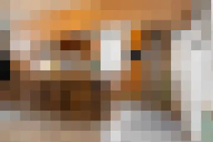 Maastrichterlaan 16 Landgraaf thumbnail 7