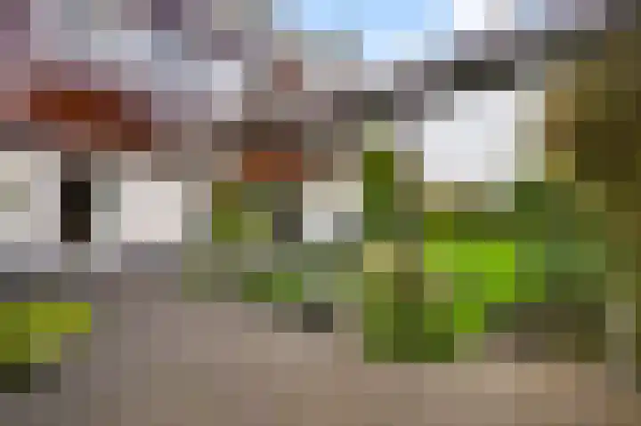 Maastrichterlaan 43 Beek thumbnail 37