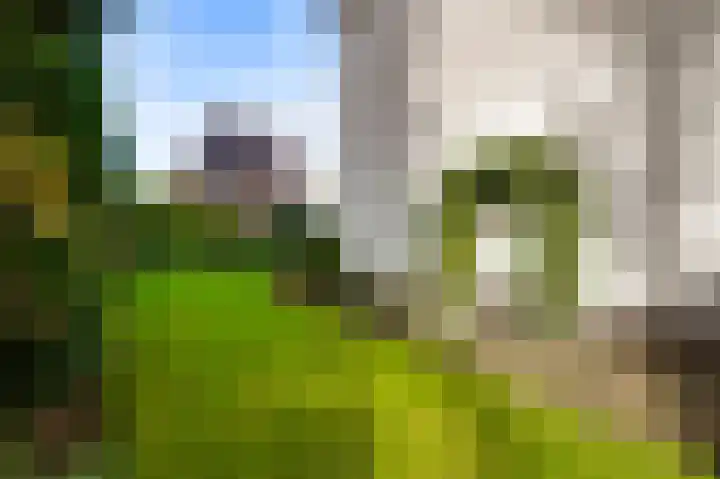 Maastrichterlaan 43 Beek thumbnail 38