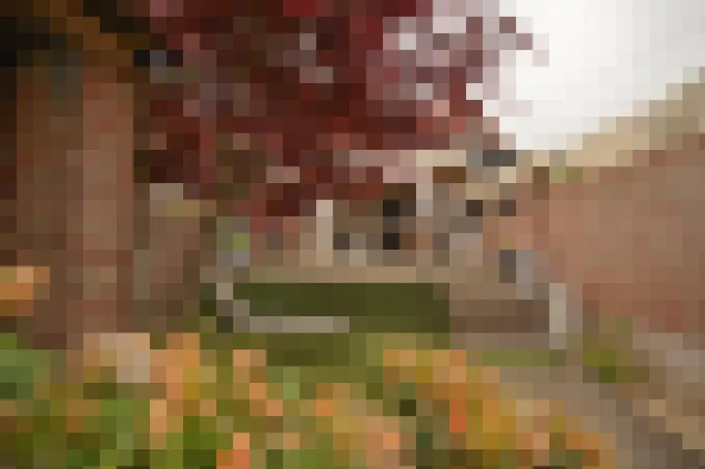 Maastrichterlaan 57 Landgraaf thumbnail 26