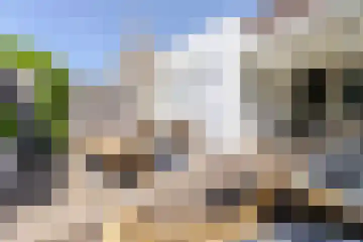 Maastrichterlaan 76 Bunde thumbnail 32