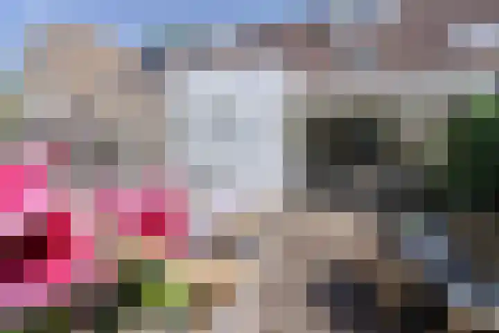 Maastrichterlaan 76 Bunde thumbnail 34