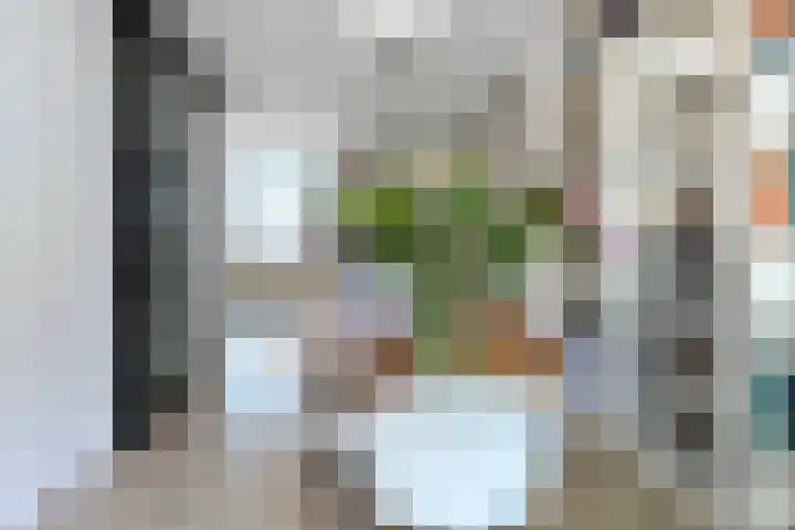 Maastrichterlaan 76 Bunde thumbnail 8