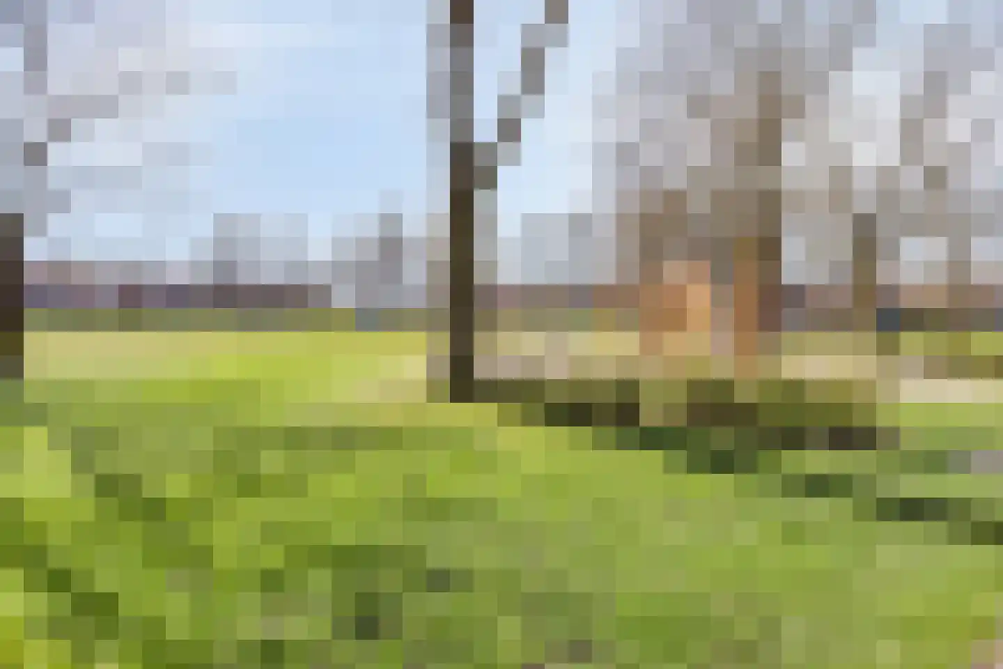 Maastrichterweg 20 B Valkenswaard thumbnail 22