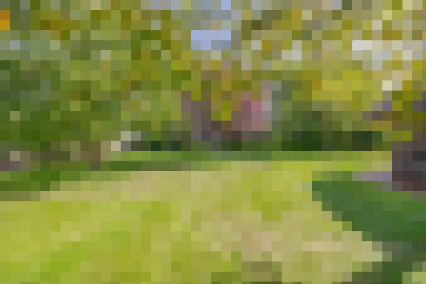 Maastrichterweg 200 Valkenswaard thumbnail 29
