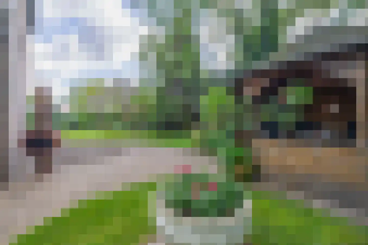 Maastrichterweg 200 Valkenswaard thumbnail 33