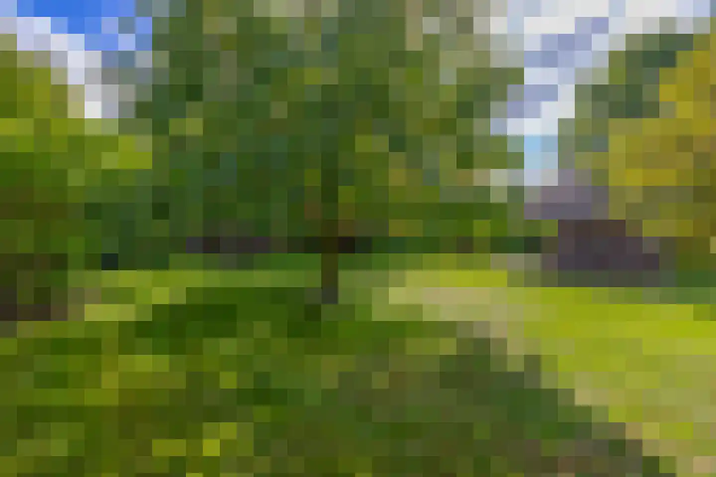 Maastrichterweg 200 Valkenswaard thumbnail 34