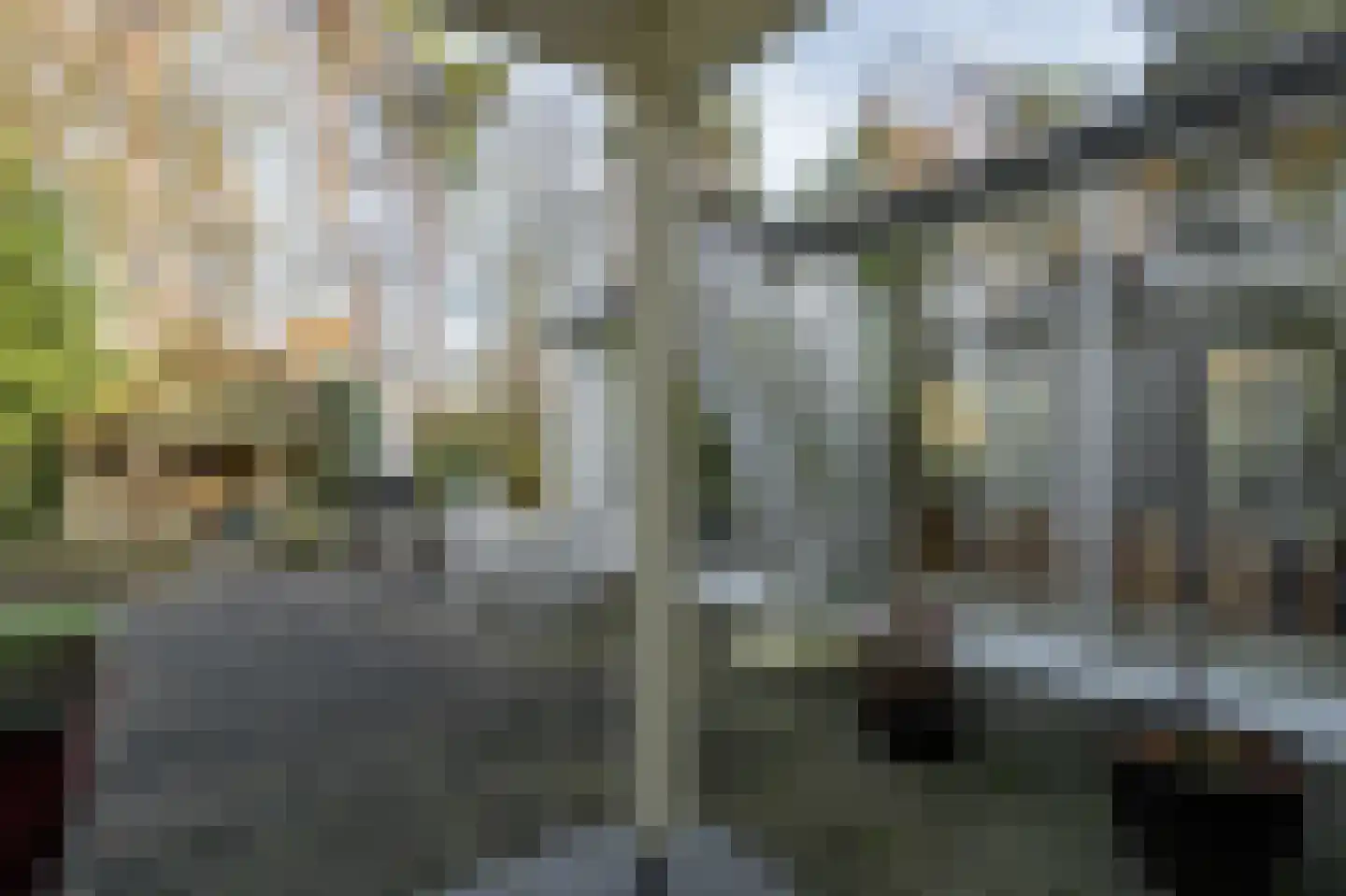 Maastrichterweg 309 Valkenswaard thumbnail 70