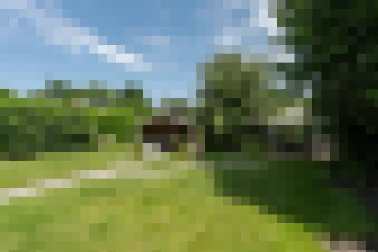 Maastrichterweg 48 Valkenswaard thumbnail 9