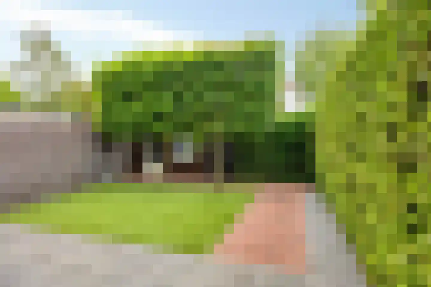 Maastrichterweg 67 Valkenswaard thumbnail 38