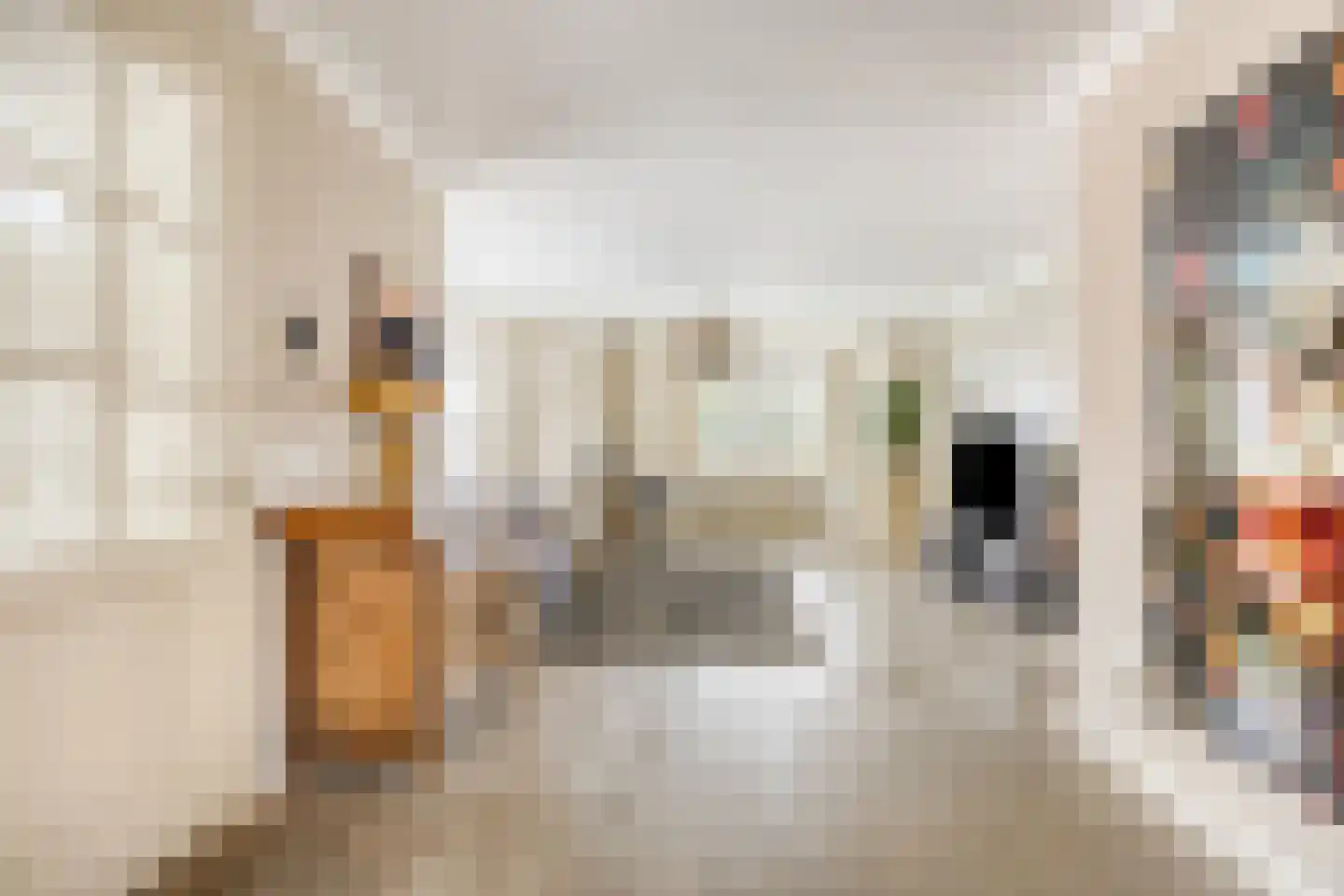 Maastrichterweg 67 Valkenswaard thumbnail 5