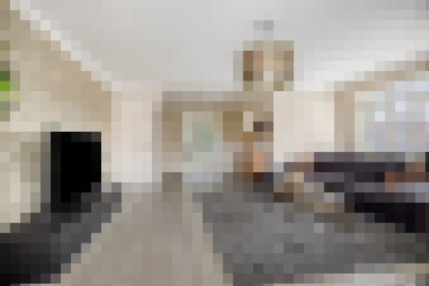 Maastrichterweg 67 Valkenswaard thumbnail 8