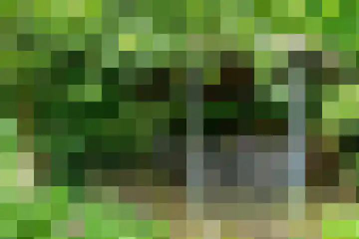 Maastrichterweg 84 Landgraaf thumbnail 27