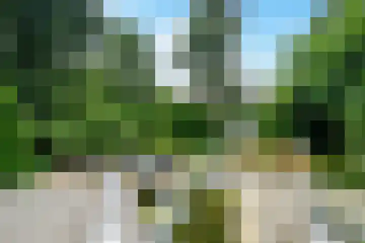 Maastrichterweg 84 Landgraaf thumbnail 31