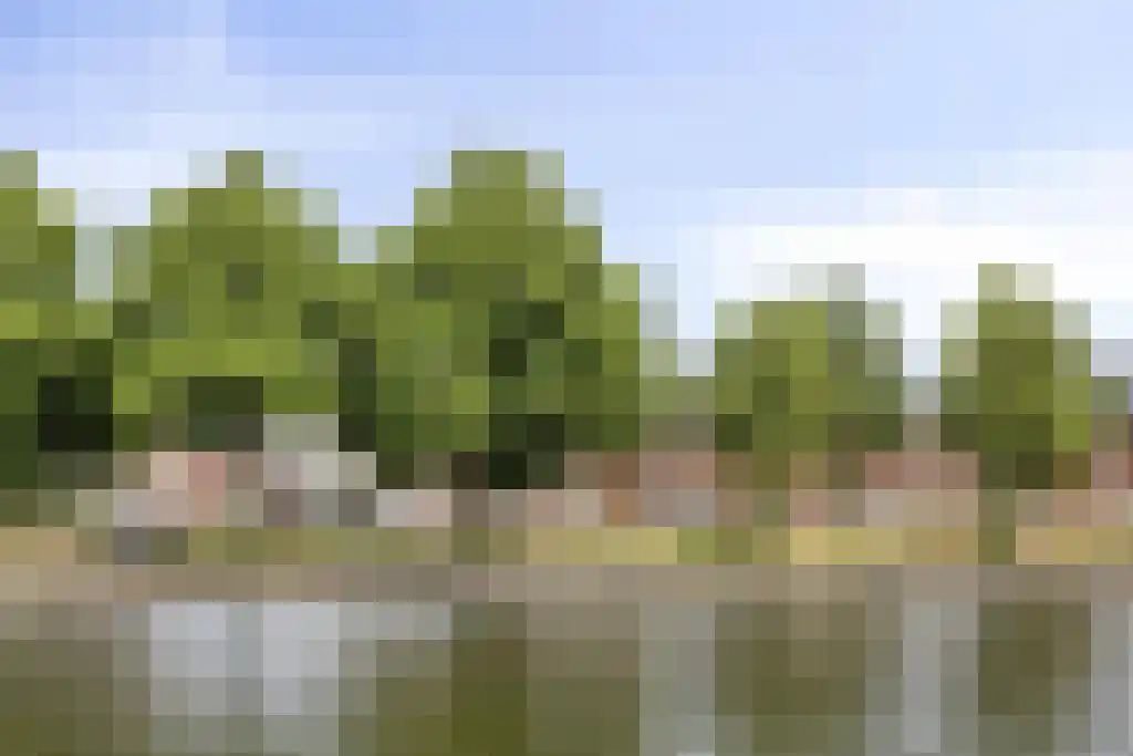 Maastrichtseweg 25 A 's-Hertogenbosch thumbnail 32