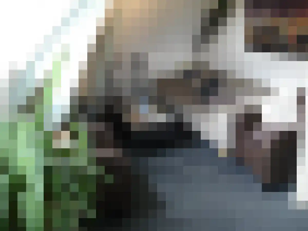 Maastrichtseweg Den Bosch thumbnail 4