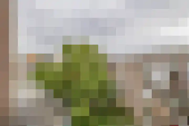 Maastunnelplein 12 A Rotterdam thumbnail 26