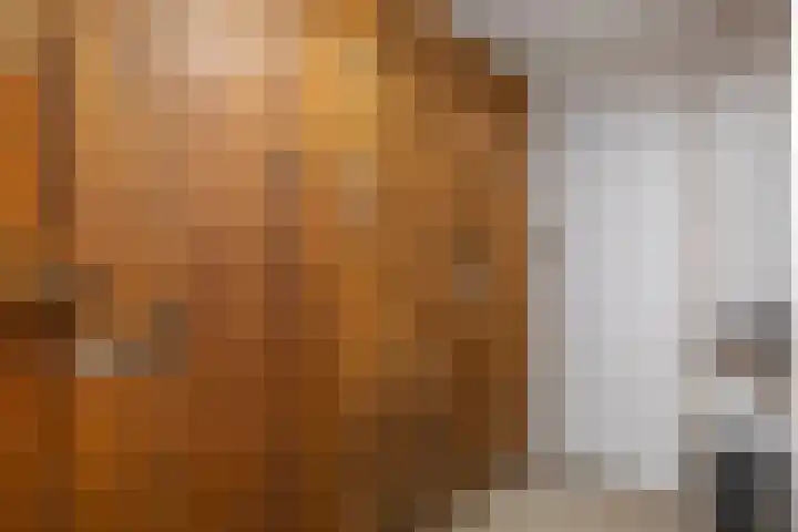 Maastunnelplein 12 A Rotterdam thumbnail 31