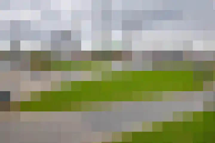 Maastunnelplein 12 A Rotterdam thumbnail 6