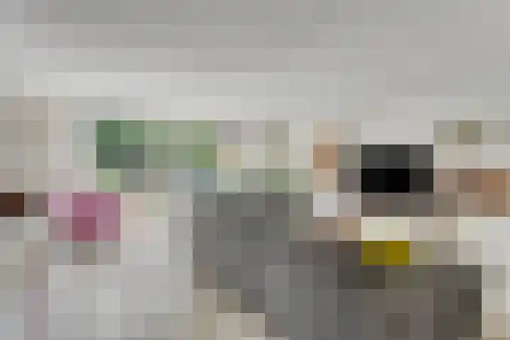 Maasvelderweg 24 Maastricht thumbnail 8