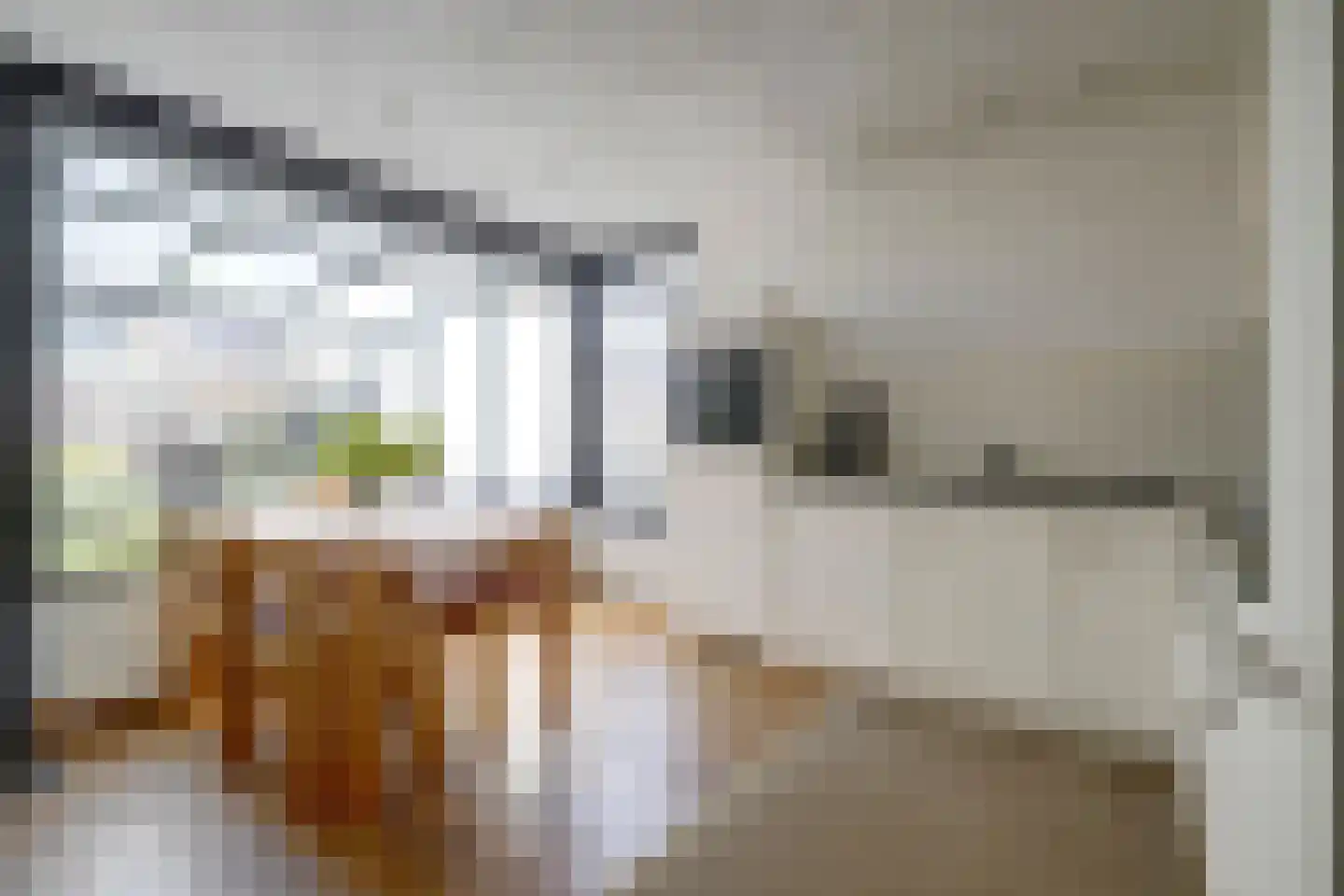 Maasveldstraat 15 Lomm thumbnail 10