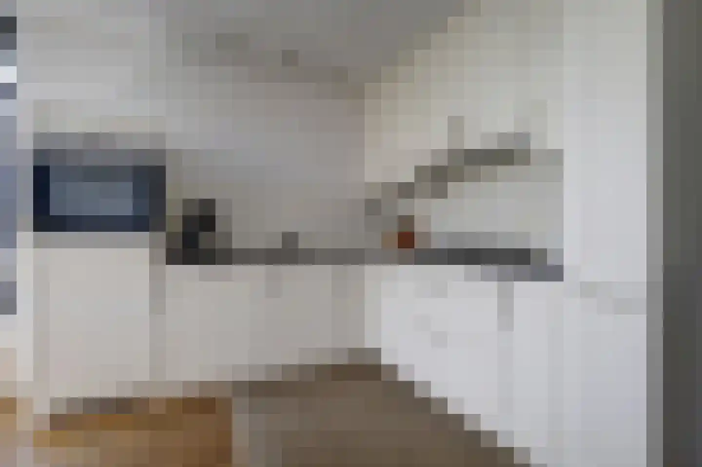 Maasveldstraat 15 Lomm thumbnail 11