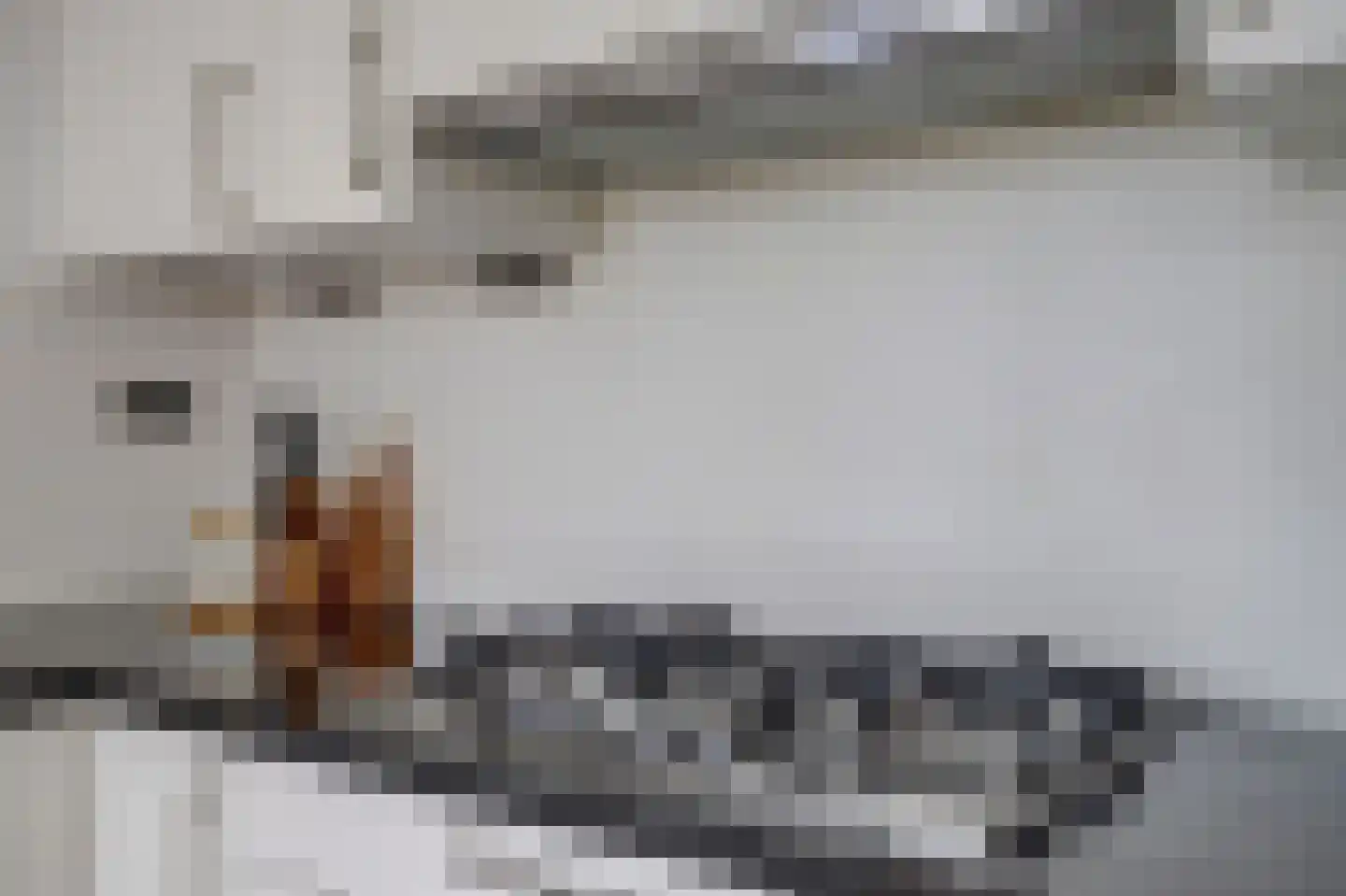 Maasveldstraat 15 Lomm thumbnail 12