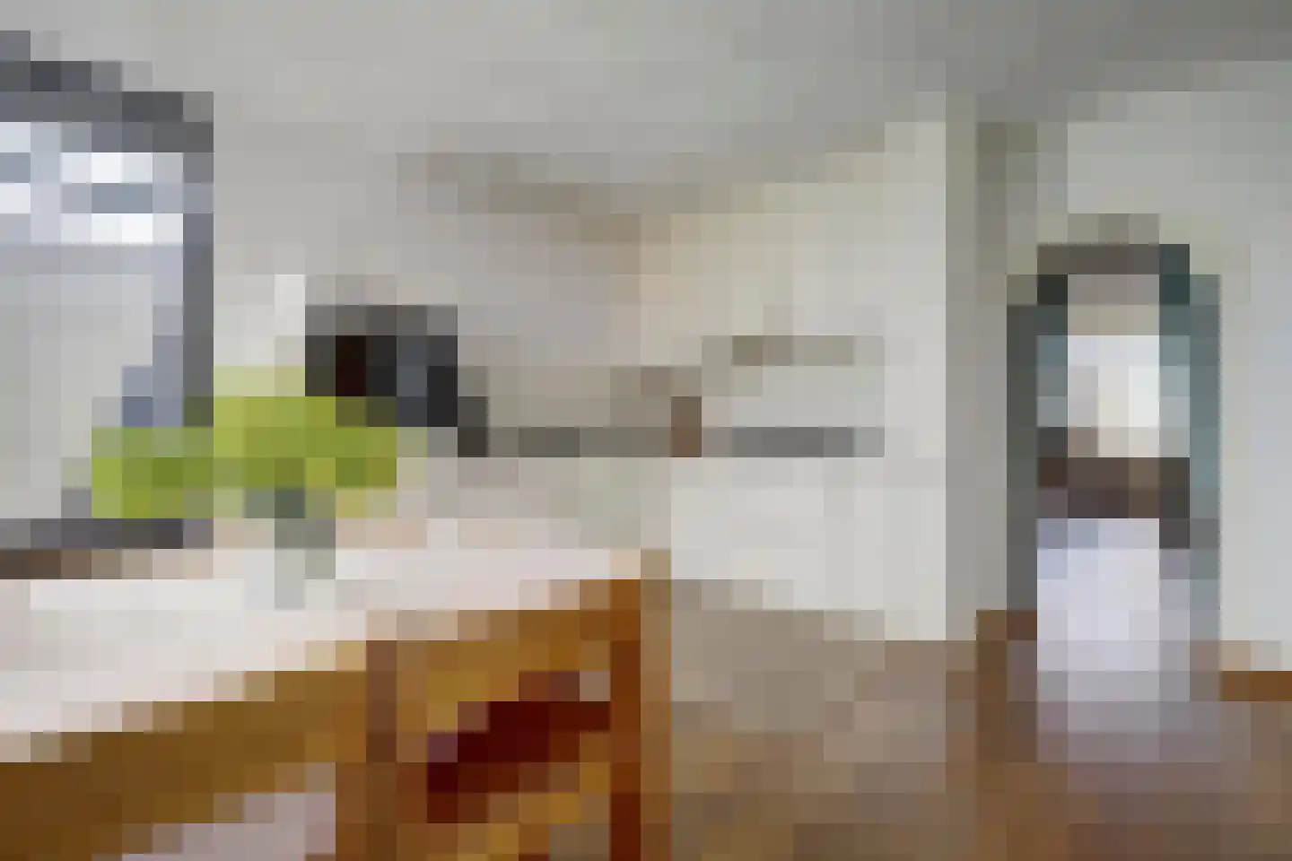 Maasveldstraat 15 Lomm thumbnail 13