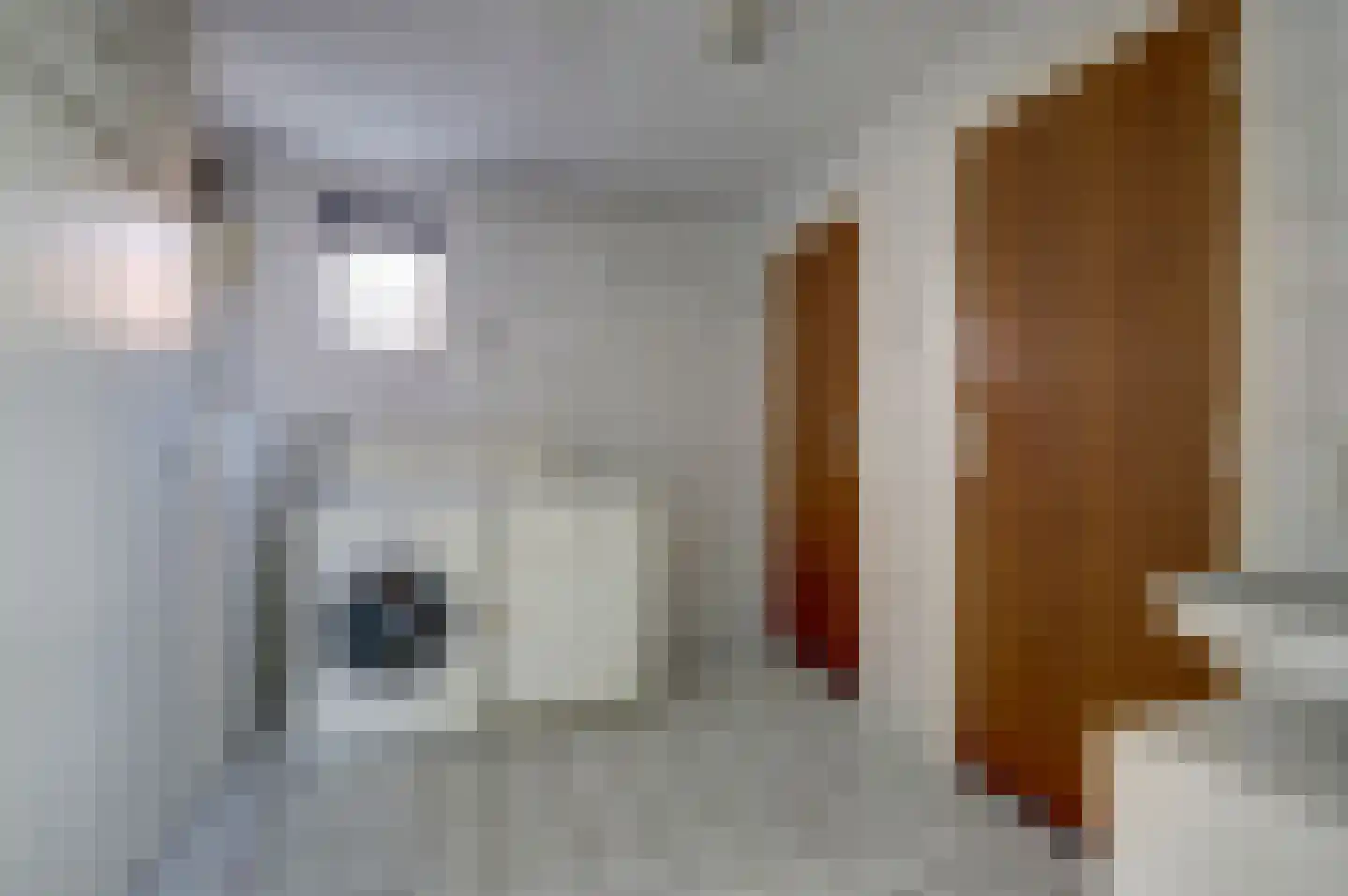 Maasveldstraat 15 Lomm thumbnail 14