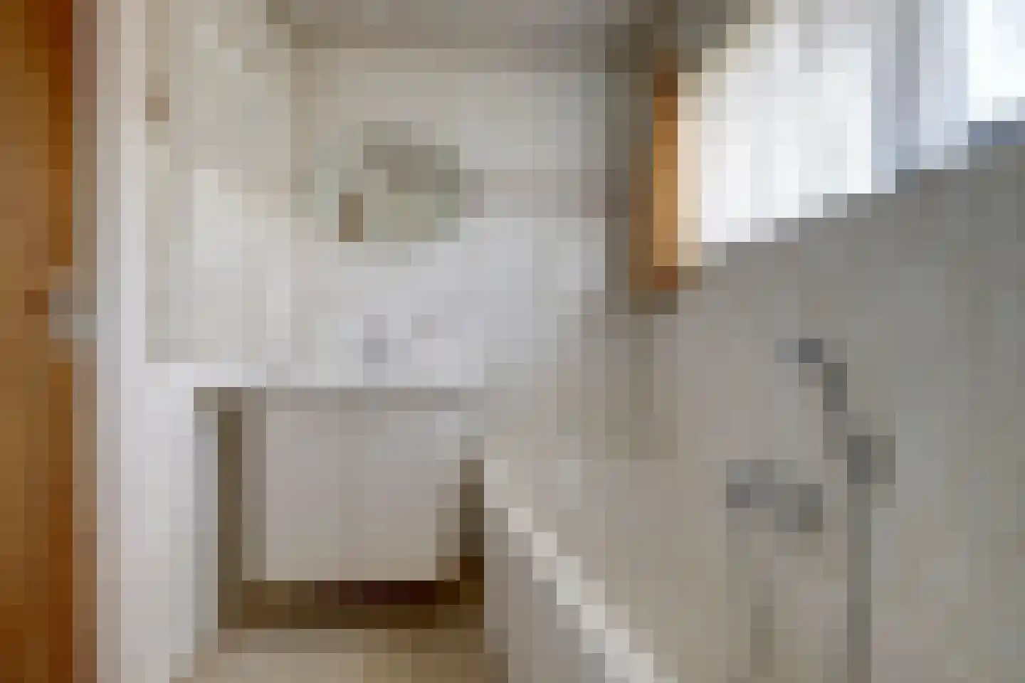 Maasveldstraat 15 Lomm thumbnail 19
