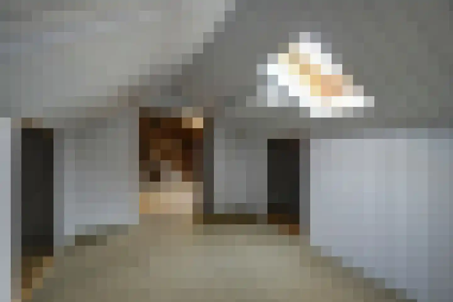 Maasveldstraat 15 Lomm thumbnail 22