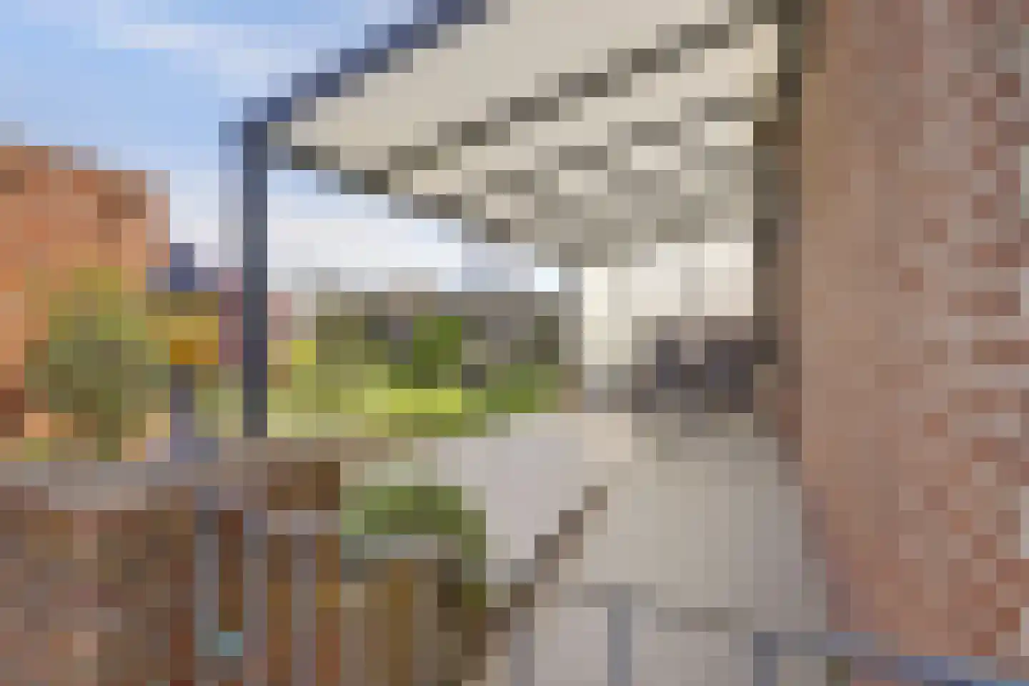 Maasveldstraat 15 Lomm thumbnail 23