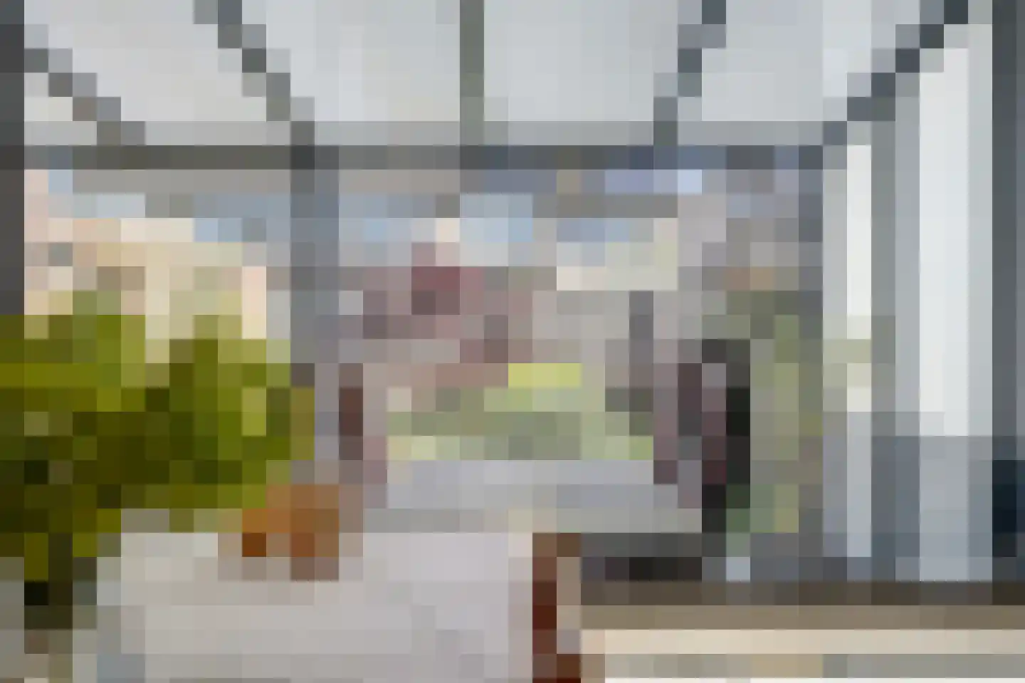 Maasveldstraat 15 Lomm thumbnail 9