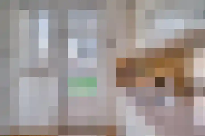 Maasveldstraat 22 Lomm thumbnail 15