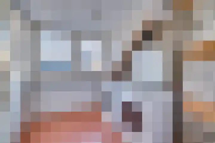 Maasveldstraat 22 Lomm thumbnail 34