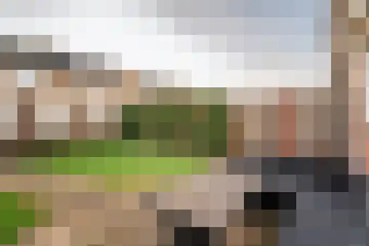 Maasveldstraat 22 Lomm thumbnail 36