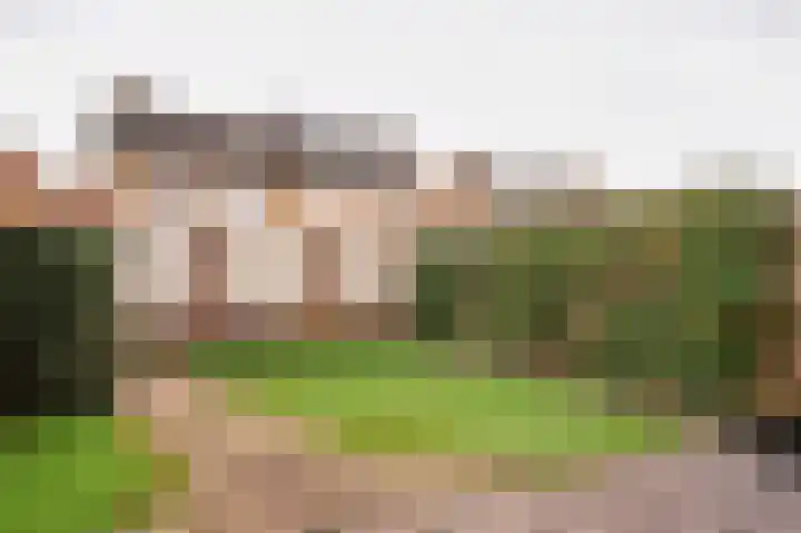 Maasveldstraat 22 Lomm thumbnail 37