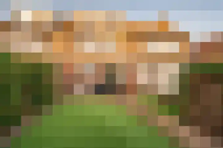 Maasveldstraat 22 Lomm thumbnail 39